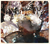 "Splash" 2011 80 x 70 cm, mixed media on cotton